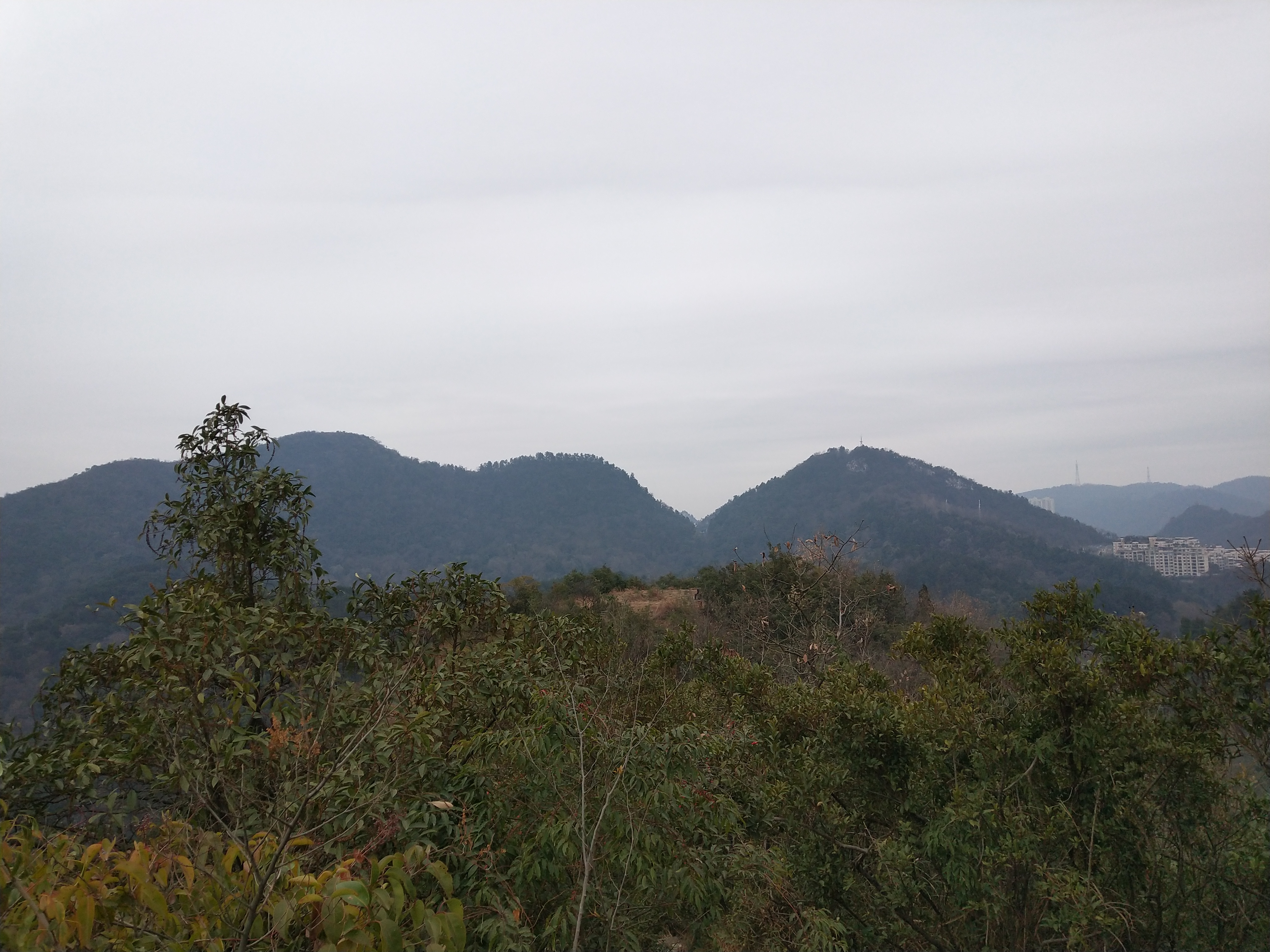 微游贵阳：深度玩透黔灵公园之自然风景