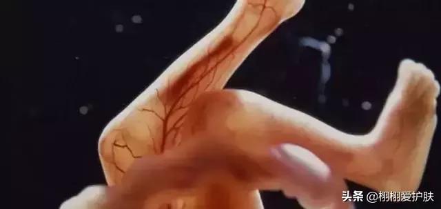 孕妇能用百雀羚甘油一号护肤啫喱,碧欧泉护肤精华露孕妇能用吗