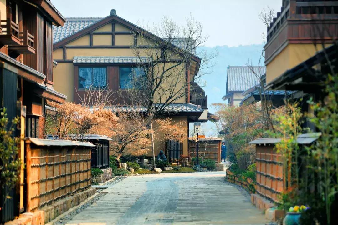 染井吉野樱花江浙沪,染井吉野樱花期10天