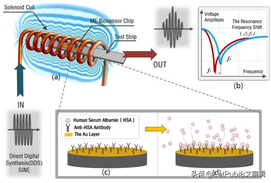 sci被剔除以前发表的文章怎么办,sci发表的历程