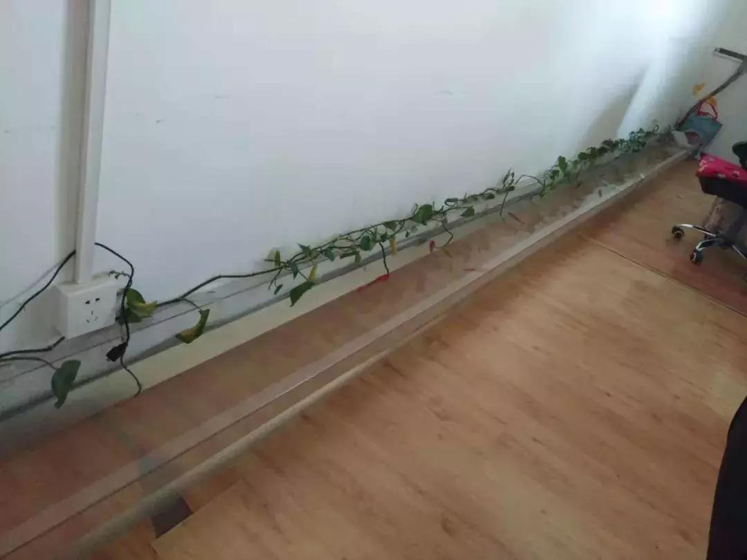 耐力板做办公室隔断,办公室装修用净化板