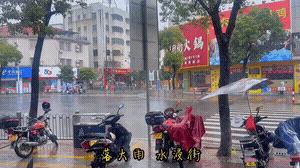 搞笑gif动图集合图,搞笑gif动图素材