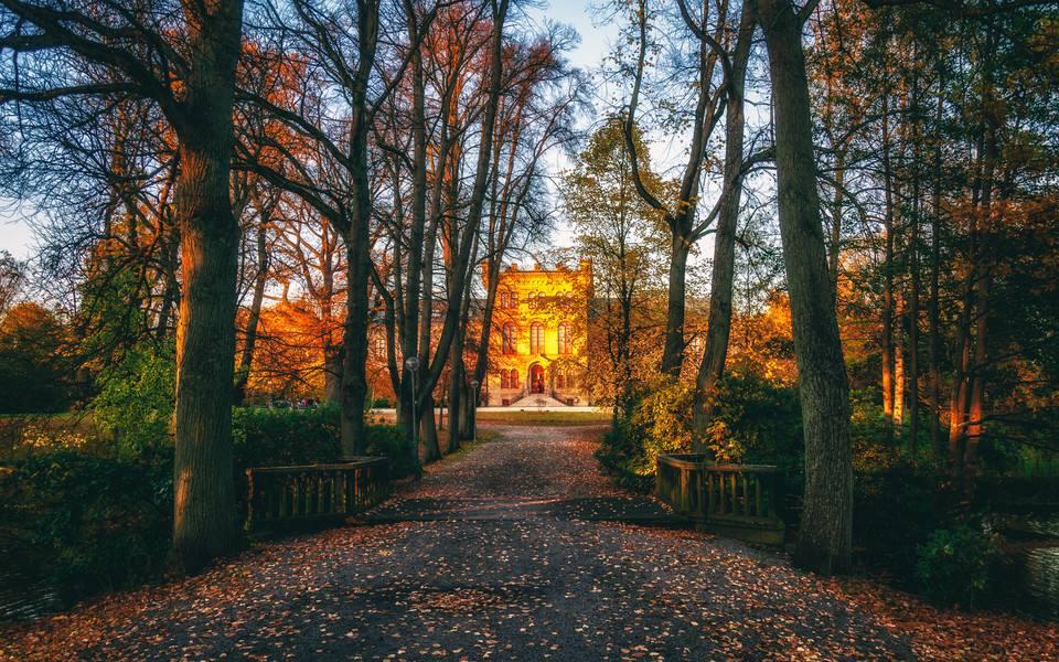 德国丹拿音箱怎么样,丹麦音响和丹拿音箱哪个好