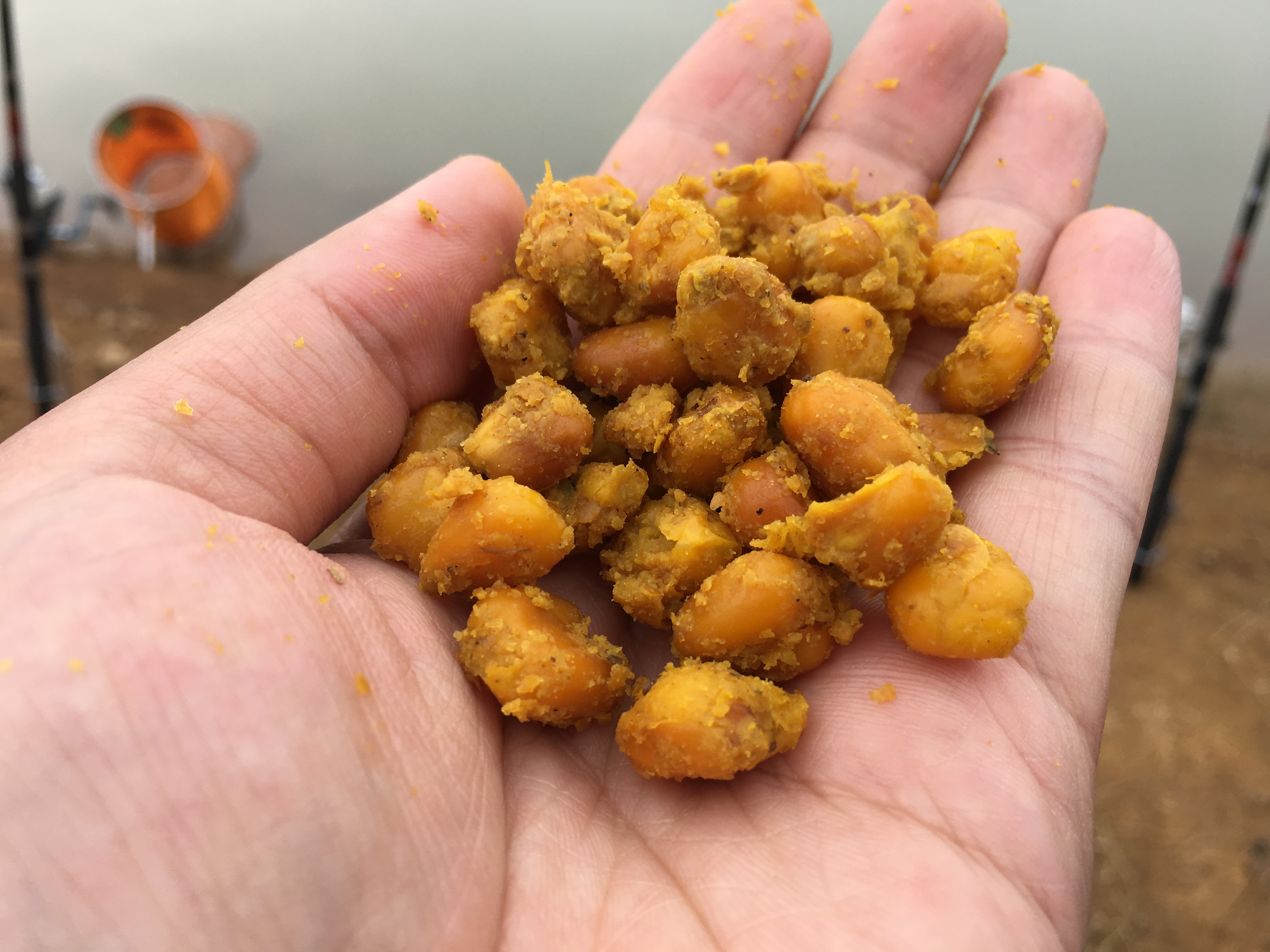 海竿钓鲢鳙爆炸钩挂玉米有用吗,爆炸钩上方块饵甩钩用不用挂上去