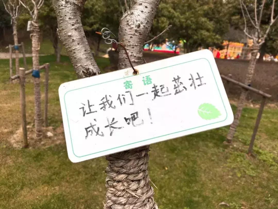 无锡遛娃户外免费,无锡惠山区遛娃好去处