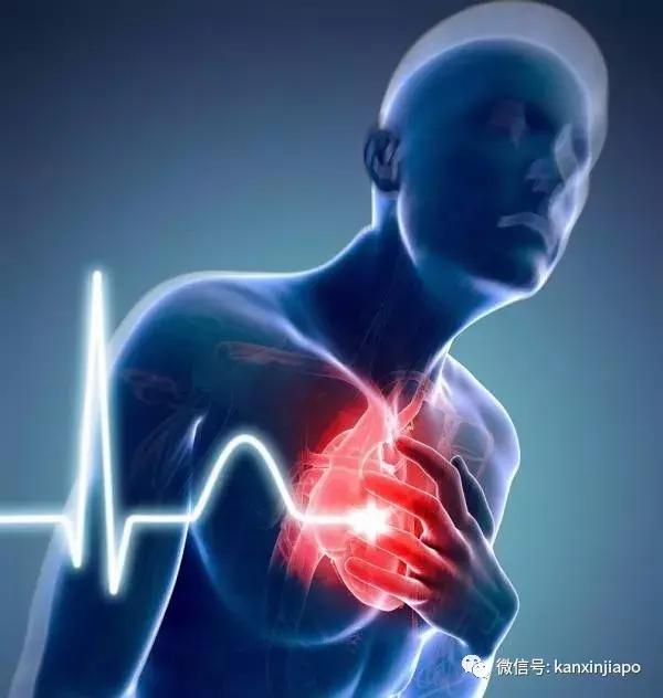 新加坡地震,新加坡地震了