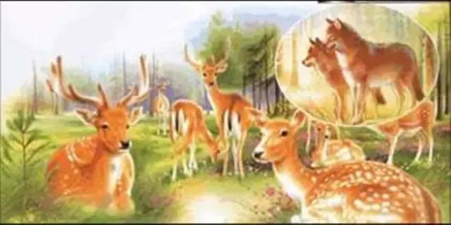 部编版语文1-3年级近义词反义词,三年级语文上册近义词反义词汇总