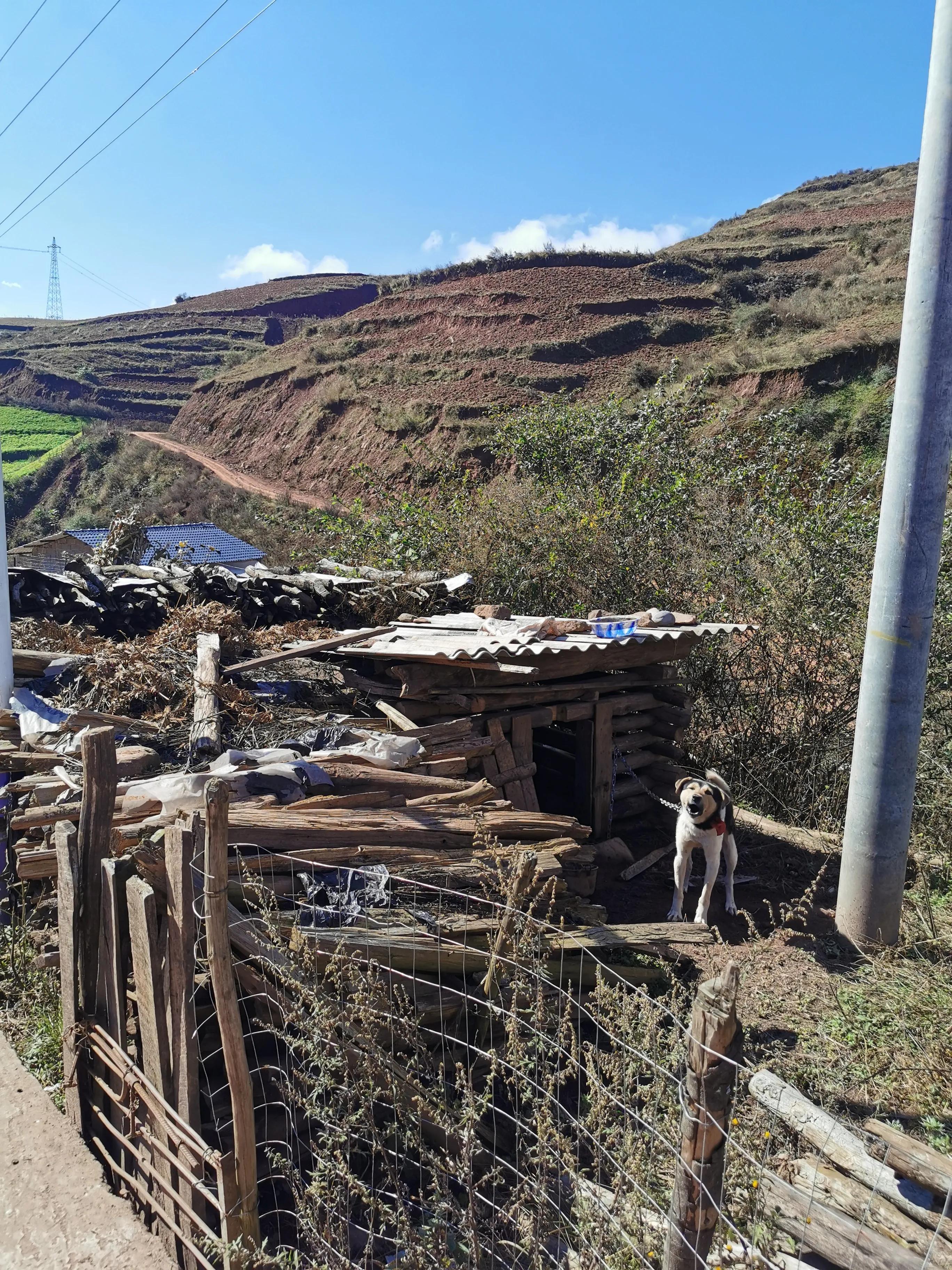 佛山市帮扶凉山州,佛山帮扶天柱县