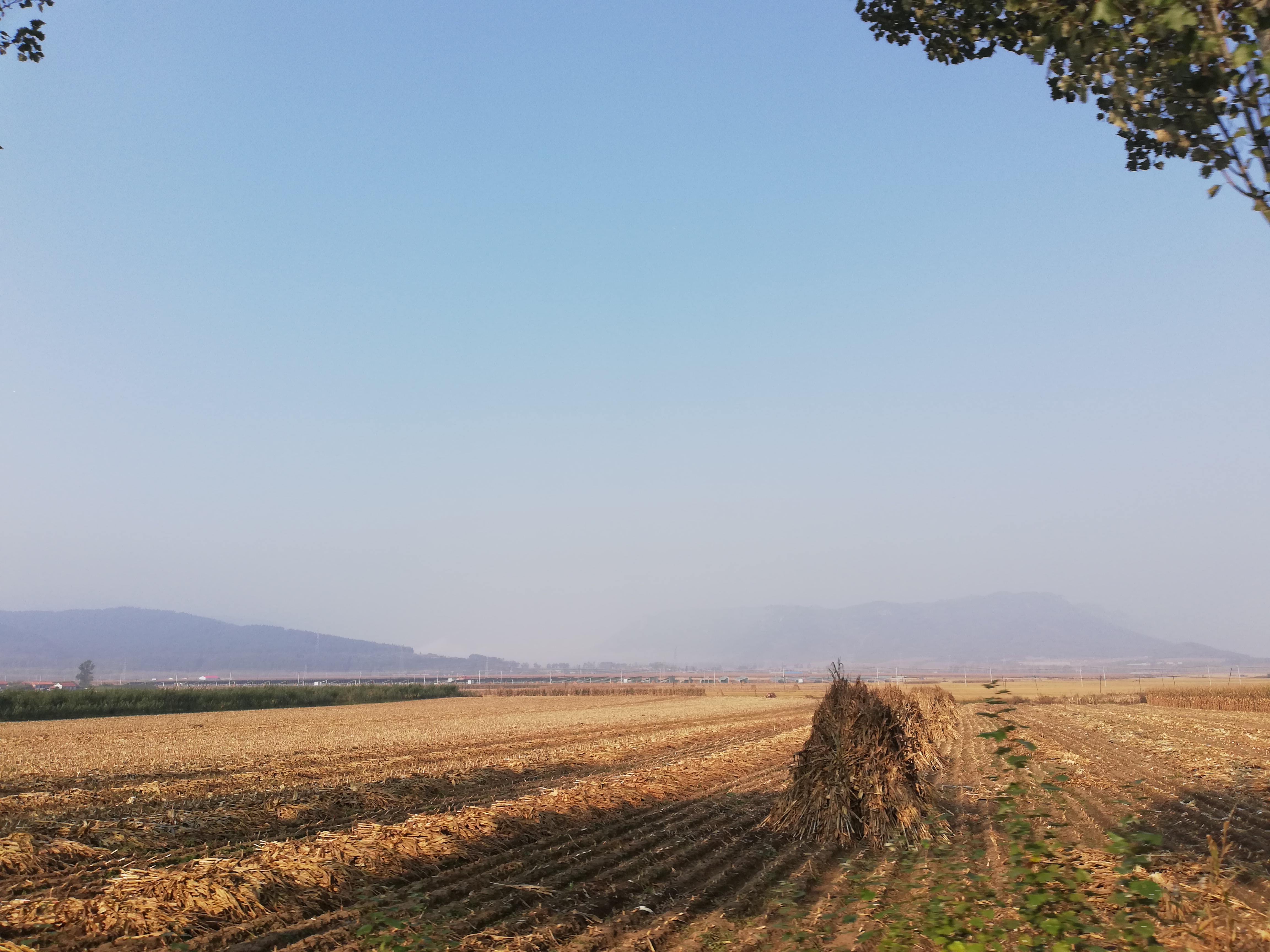 本溪桓仁旅游攻略自驾游,十一本溪桓仁枫叶自驾游攻略