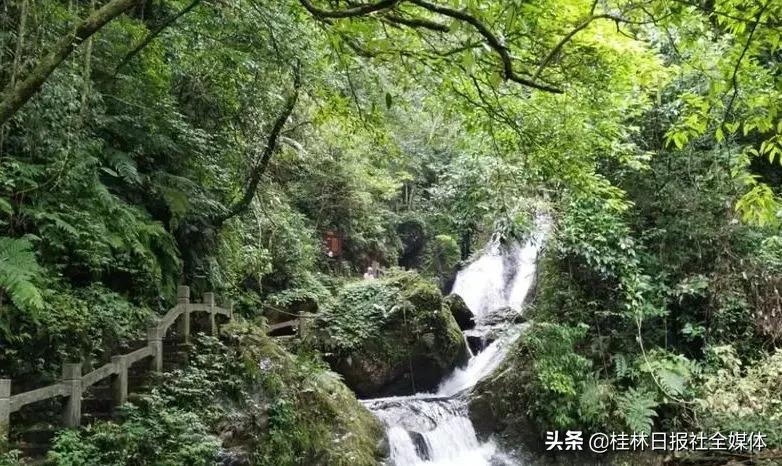 医护人员去桂林旅游,桂林市医护人员免费景区