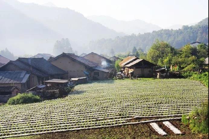 唐诗中的山水田园诗句,唐诗宋词中的田园生活