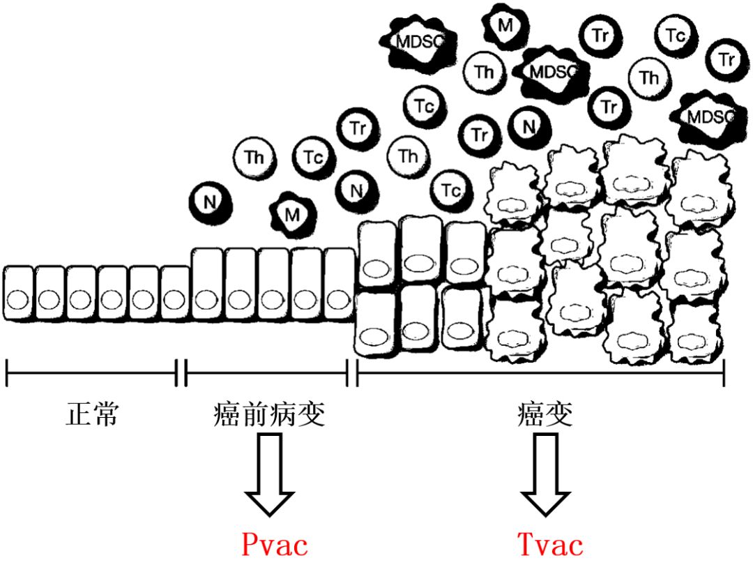 广州润生细胞医药科技有限公司,润生干细胞