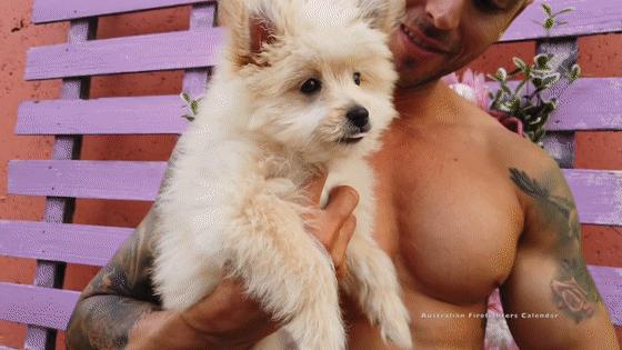 澳大利亚火场消防员,2018澳大利亚消防员