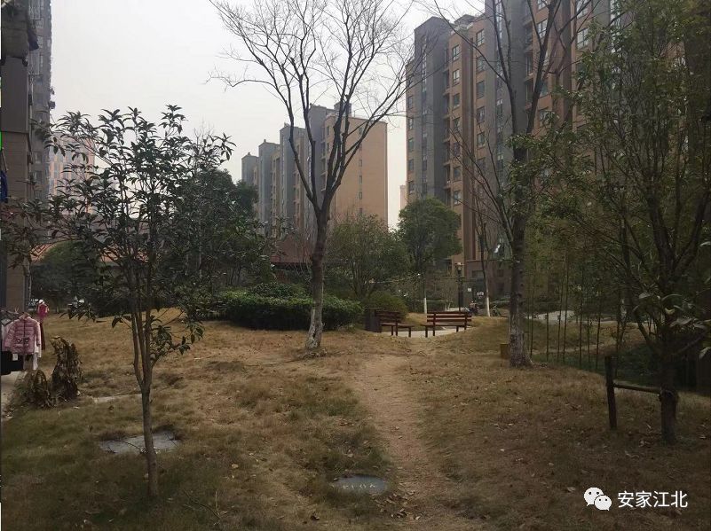 近期市区二手房为何猛涨,二手房涨了100万