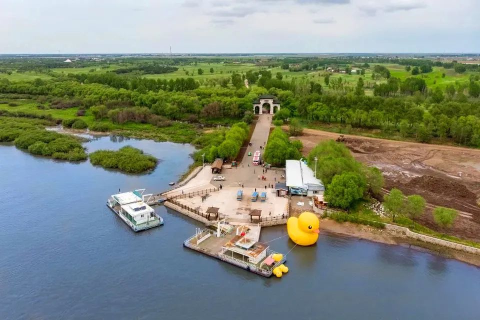 仙鹤起舞水粉画,仙鹤起舞展翅飞