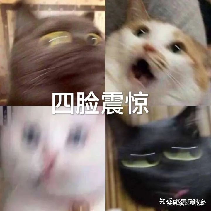 罗永浩直播带货卖茶靠谱吗,罗永浩直播带货首饰