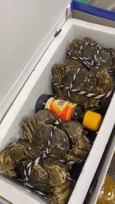 便宜的农副产品干货,冷门的农副产品