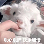 女生圣诞节礼物买啥啊,圣诞送女生什么礼物预算500