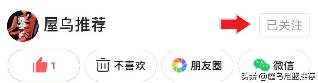新泻天鹅vs福冈黄蜂比分预测,日职乙新泻天鹅vs横滨fc交锋