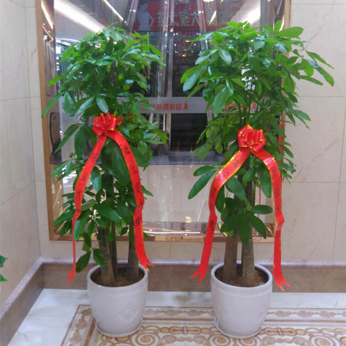 太原朋友店开业送什么礼物,青岛朋友开店都送什么