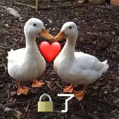 20条超级适合发朋友圈的搞笑文案,20条很酷的朋友圈文案