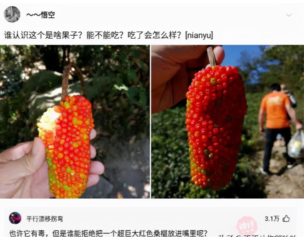 路边的现金及东西不要乱捡,在路边捡到钱但村里老人说不能捡