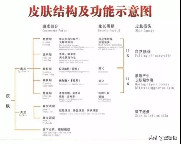 可以治疗湿疹脚气的野草,哪种野草可以治湿疹有效