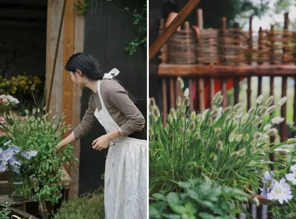 最会说情话的人全集,最会说情话的人