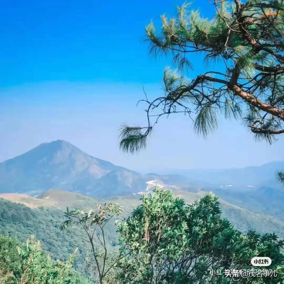 茂名哪个地方热,茂名很漂亮的风景