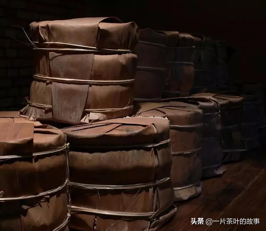 有茶虫的茶叶好吗,如何看茶叶是否有茶虫病