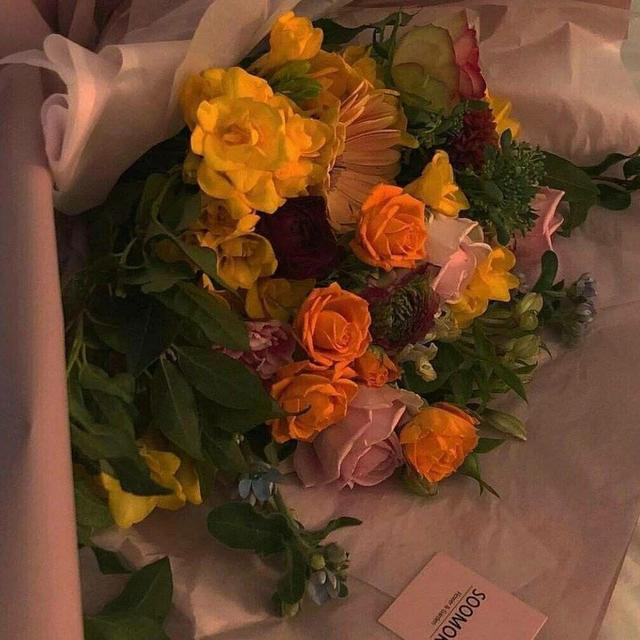 关于纯爱的小说金句,各部甜文小说经典语录