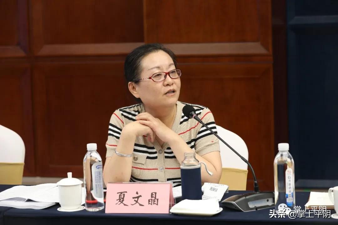 如何打造平阴“杏坛遗响儒乡孔村”文旅品牌，专家学者这样建言献策