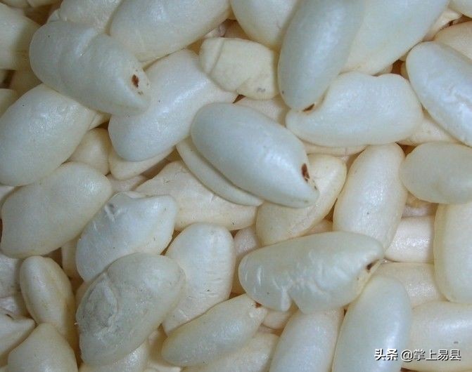 爆米花儿时的回忆音乐,爆米花的味道满满的童年回忆