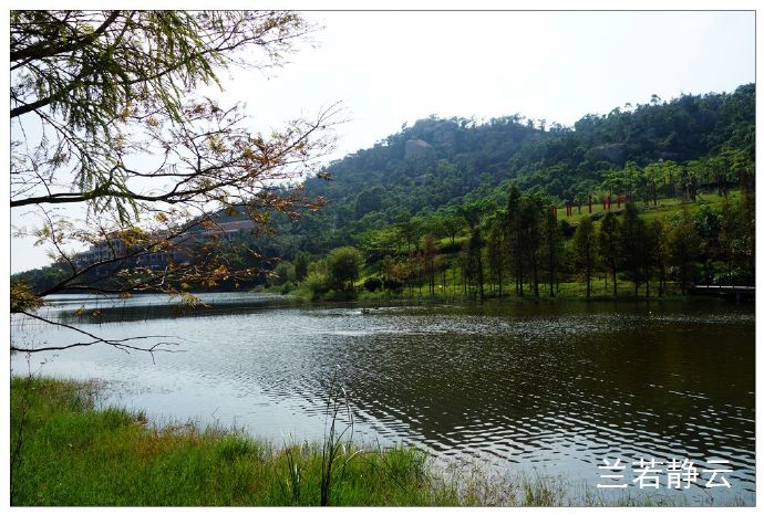 厦门国家会计学院校园,厦门国家会计学院漂亮吗