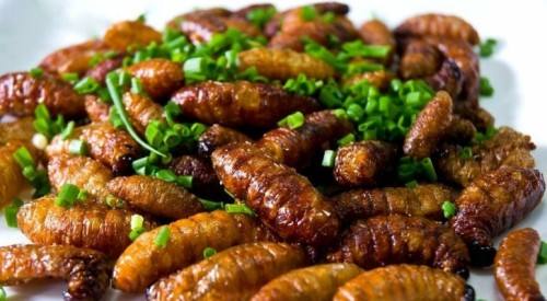 带大家了解一下昆虫美食,国外很火的4种美食昆虫你敢吃吗