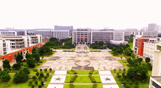 新站未来的潜力板块在哪里,新站发展最新消息