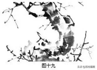 国画梅花画法视频,徐湛梅花画法教程