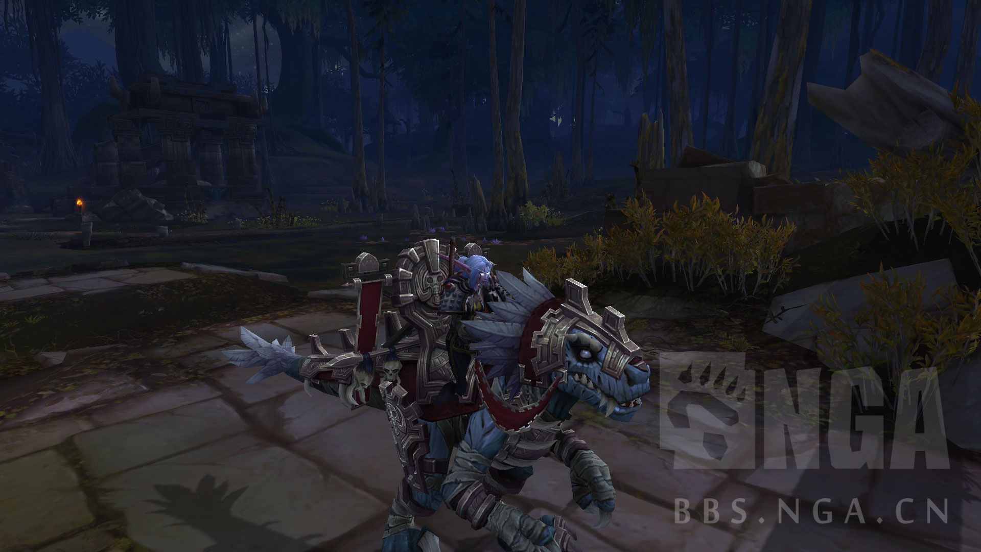 魔兽世界暗夜精灵板甲幻化,女暗夜精灵猎人板甲幻化大全