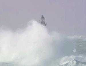 550只羊被雷劈死,500头羊被闪电劈死