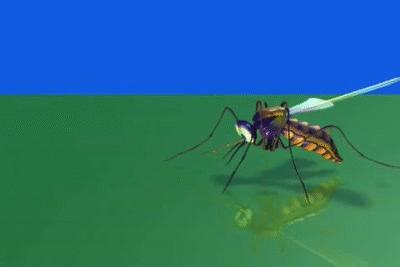 蚊子灭蚊神曲,驱蚊神曲2首