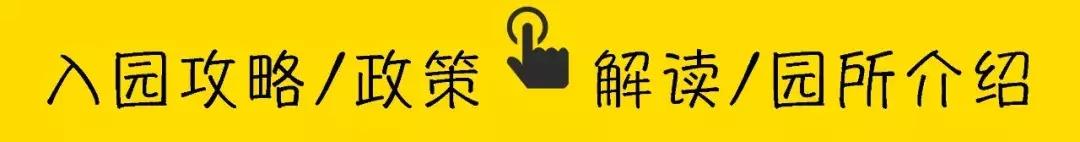 教育局点名！这4所不合格！深圳龙华民办幼儿园最新年检结果出炉