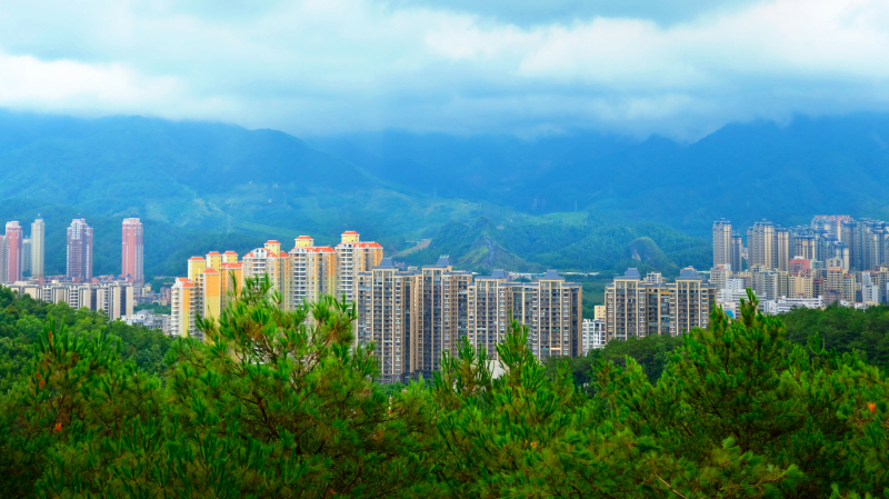 云浮南山森林公园锦鸡,云浮南山森林公园航拍