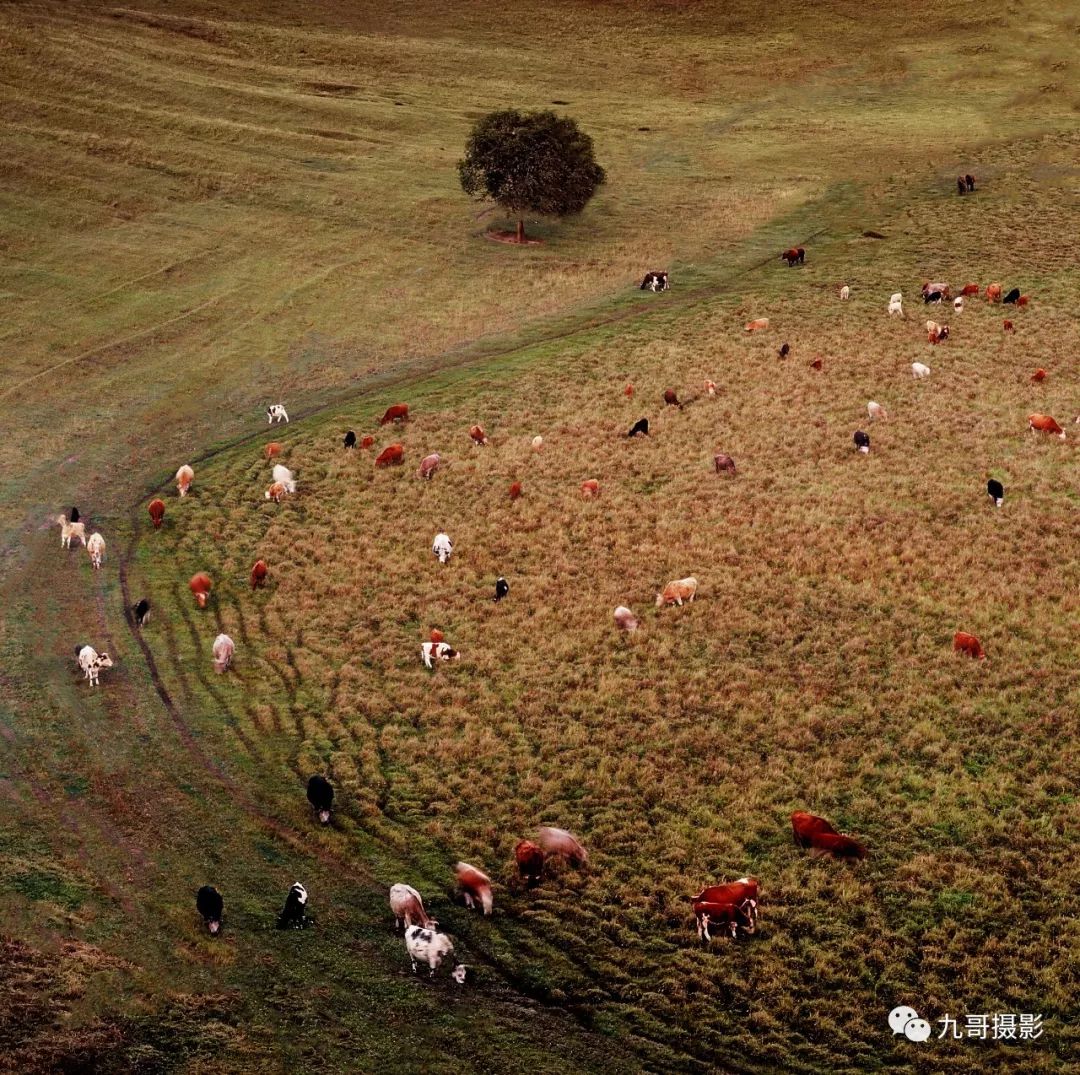坝上草原天路美景,大美坝上风光系列之一
