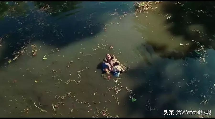 专栏杨震,杨震足彩专栏