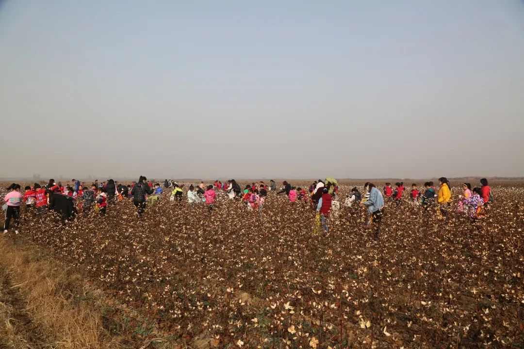 和孩子一起参加学校劳动的发言稿,和孩子们去村里上一堂劳动实践课