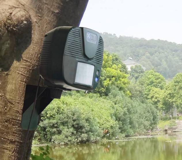 浜洪笩澶ф垬璋佽兘鎵撹耽,浜洪笩鎴樹簤