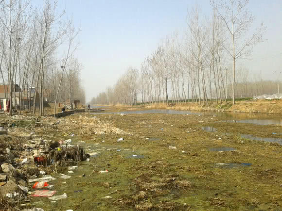 为什么有些鲫鱼吃起来有股煤油味,怎么去除河里鲫鱼的煤油味道