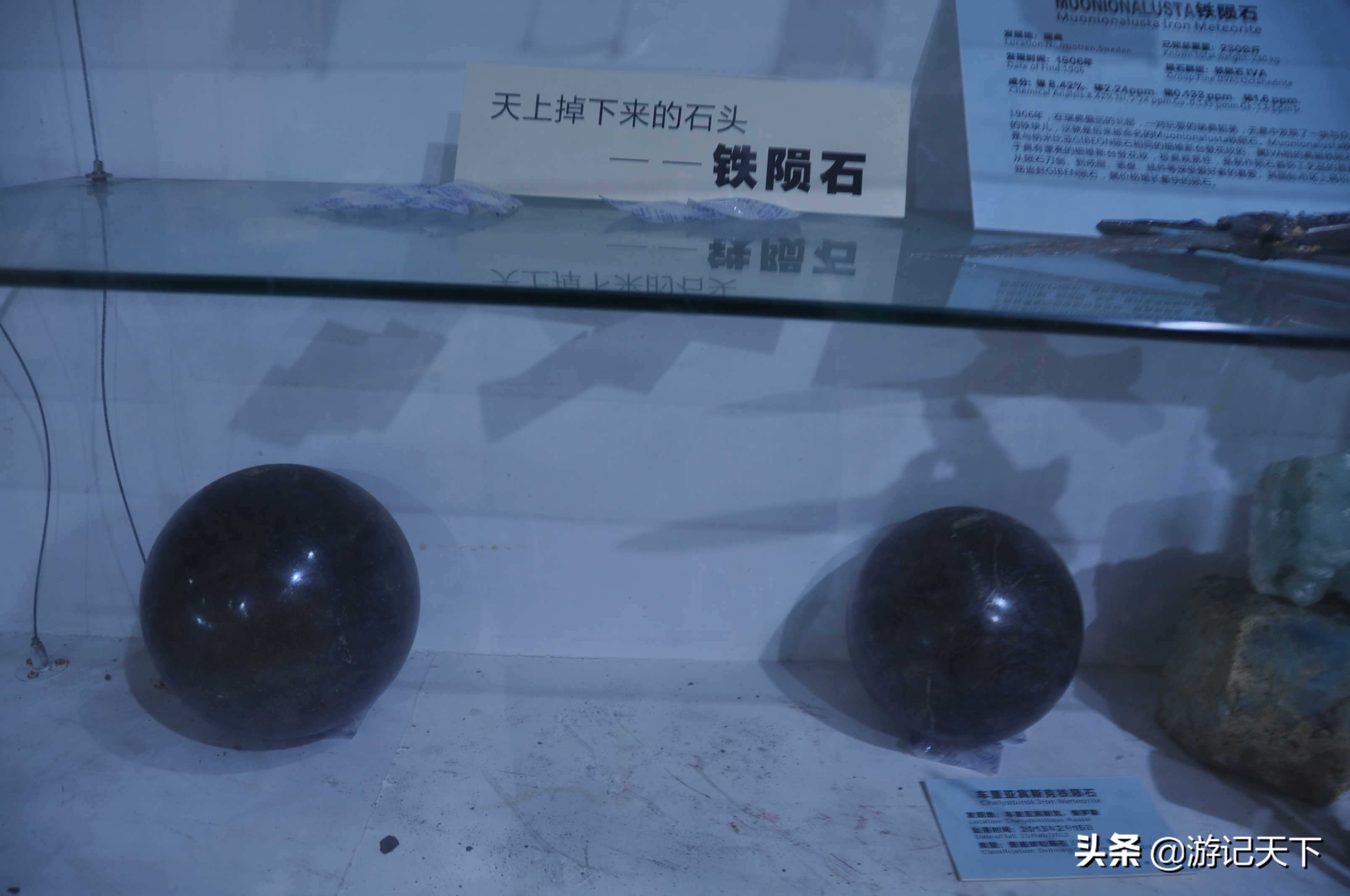 阿尼亚参观博物馆,上海地质科普馆游玩