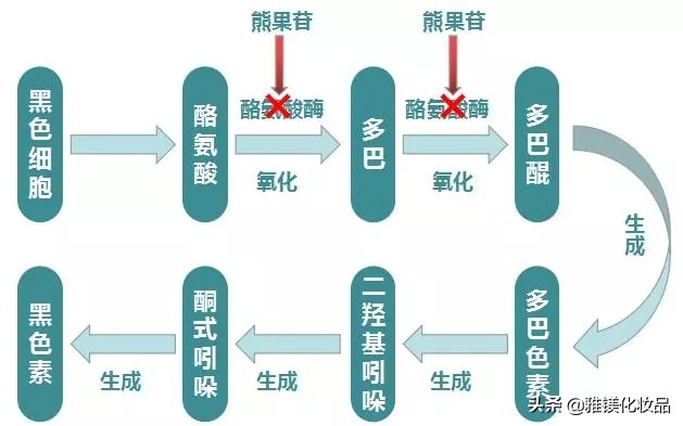 雅镁化妆品制造有限公司,雅镁化妆品工厂