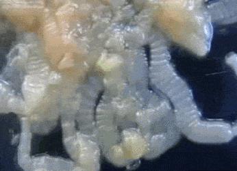 2个娃身上突然多处淤青，到底是谁虐的？